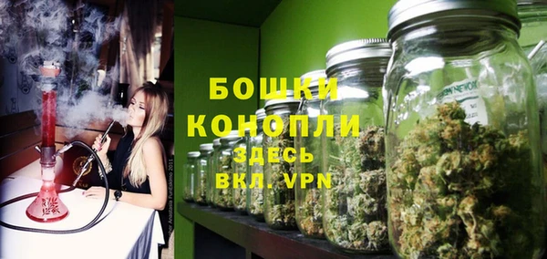 амф Инсар