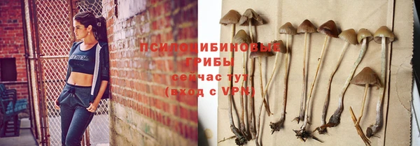 амф Инсар